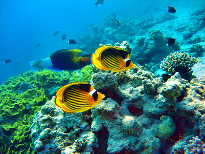 Hurghada